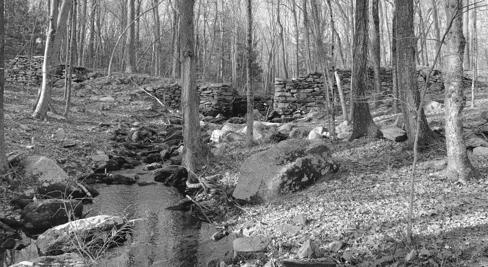 Stone walls along a stream in a winter forest